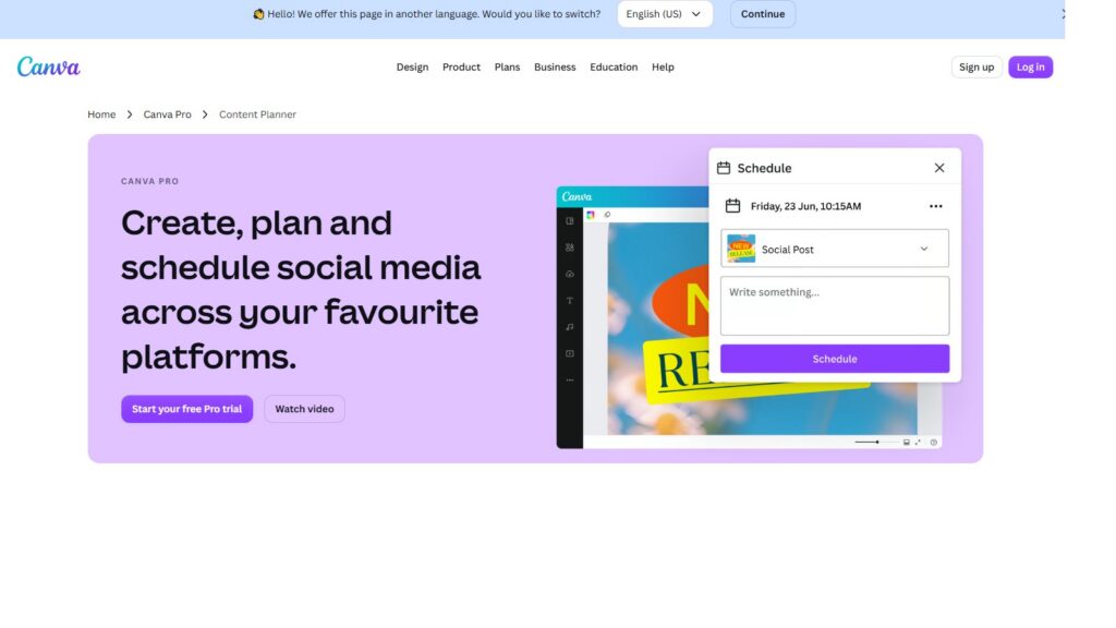 Canva - Social Media Management Tool